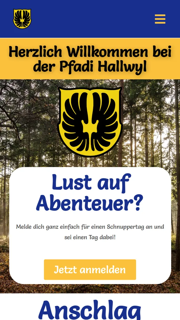 Website der Pfadi Hallwyl auf dem Handy